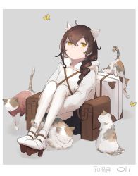 Rule 34 | 1girl, animal, animal ears, braid, brown hair, bug, butterfly, cat, cat ears, hair between eyes, highres, insect, jacket, kantai collection, long hair, long sleeves, ma rukan, pantyhose, signature, single braid, solo, souya (kancolle), white jacket, white pantyhose, yellow eyes