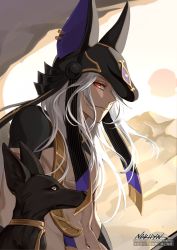 Rule 34 | 1boy, abs, animal, animal ears, animal hat, arabian clothes, black hat, black ribbon, closed mouth, commentary, cyno (genshin impact), dark-skinned male, dark skin, day, desert, earrings, eyelashes, genshin impact, hair over one eye, hat, highres, jackal, jackal ears, jewelry, long hair, looking at viewer, male focus, navel, ngkhyn, one eye covered, outdoors, parted bangs, red eyes, ribbon, sidelocks, smile, solo, stomach, sun, swept bangs, upper body, white hair