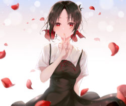 1girl black_dress black_hair blouse blush breasts collarbone commentary_request dress finger_to_mouth folded_ponytail hair_ribbon heeri highres kaguya-sama_wa_kokurasetai_~tensai-tachi_no_renai_zunousen~ leaf looking_at_viewer parted_bangs red_eyes red_ribbon ribbon school_uniform shinomiya_kaguya shirt short_hair short_sleeves shuuchiin_academy_school_uniform sidelocks solo white_shirt