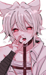 Rule 34 | 1boy, aida yuuya, androgynous, animal ears, bandages, black collar, blush, cat boy, cat ears, collar, collared shirt, leash, looking at viewer, male focus, natsumoriii, ookami game (studio wasabi), open mouth, pink eyes, shirt, shirt partially removed, sketch, solo, tongue, tongue out, white background, white hair, white shirt