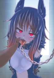 Rule 34 | 1boy, 1girl, animal ears, arms behind back, black hair, blush, bound, bound arms, breasts, brick wall, chain, chain leash, collar, dark-skinned male, dark skin, eyelashes, fang, finger in another&#039;s mouth, furrowed brow, gradient hair, hair between eyes, highres, higurashi aki, jitome, leash, leather, looking at viewer, medium breasts, multicolored hair, original, pov, red eyes, red hair, saliva, sidelocks, solo focus, strap, tongue, tongue out, two-tone hair, window, wolf ears