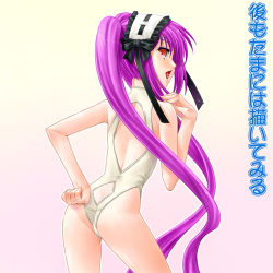 Rule 34 | 00s, 1girl, ass, ayato, casual one-piece swimsuit, euryale (fate), fate/hollow ataraxia, fate/stay night, fate (series), hand on own hip, hip focus, one-piece swimsuit, solo, stheno (fate), swimsuit