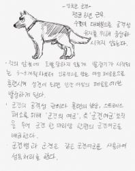 Rule 34 | animal, collar, dog, gogocherry, highres, korean text, military, monochrome, no humans, penis, text focus, translation request