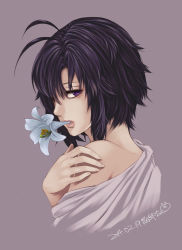 Rule 34 | 10s, 1girl, 96neko mtm, antenna hair, bad id, bad pixiv id, bare shoulders, dated, flower, flower in mouth, idolmaster, idolmaster (classic), idolmaster 2, kikuchi makoto, lily (flower), looking at viewer, purple eyes, short hair, signature, solo
