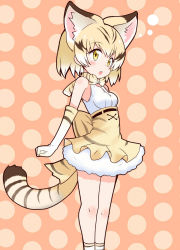 Rule 34 | 10s, 1girl, animal ears, bare shoulders, blonde hair, blush, bow, bowtie, cat ears, cat tail, elbow gloves, gloves, highres, itamochi, kemono friends, multicolored hair, sand cat (kemono friends), short hair, skirt, solo, tail, yellow eyes