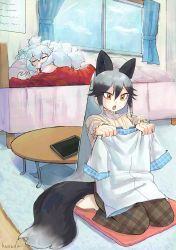 Rule 34 | 2girls, alternate costume, animal ears, barefoot, bed, brown pants, casual, collar, commentary request, extra ears, fox ears, fox girl, fox tail, frilled collar, frills, grey hair, hanada (cobalt003), highres, holding, holding clothes, holding shirt, kemono friends, long hair, long sleeves, multicolored hair, multiple girls, pants, plaid, plaid pants, plaid trim, red sweater, seiza, shirt, silver fox (kemono friends), sitting, sleeping, sweater, tail, white hair, white lion (kemono friends), white shirt, yellow eyes