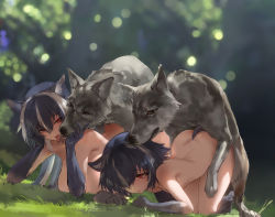 Rule 34 | 2girls, animal ears, ass, bestiality, doggystyle, highres, long hair, mother and daughter, multiple girls, nude, outdoors, polki, sex, sex from behind, tail, wolf, wolf ears, wolf girl, wolf tail