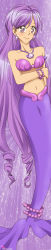 Rule 34 | 1girl, absurdres, caren (mermaid melody pichi pichi pitch), full body, highres, jewelry, long hair, long image, luana morado, mermaid, mermaid melody pichi pichi pitch, monster girl, necklace, purple background, purple eyes, purple hair, shell, shell necklace, smiley face, tall image, very long hair