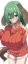 Rule 34 | 1girl, alternate costume, animal ears, breasts, closed mouth, cowboy shot, dog ears, dog tail, green eyes, green hair, highres, kasodani kyouko, large breasts, looking at viewer, medium hair, miniskirt, red sweater, ribbed sweater, short hair, simple background, skirt, solo, standing, suzunooto shirasu, sweater, tail, touhou, white background, white skirt