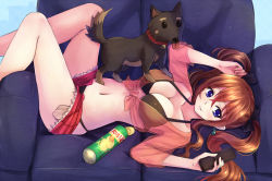 Rule 34 | 1girl, bell, bikini, black bikini, blue eyes, blush, bow, breasts, brown hair, camisole, chips (food), cleavage, collar, collarbone, controller, couch, cutoffs, dog, earrings, food, front-tie top, hair between eyes, hair bow, holding, jewelry, long hair, lying, navel, neck bell, on back, open fly, original, parted lips, potato chips, remote control, shirt, short shorts, shorts, suikakitsu shiro, swimsuit, tied shirt, tongue, tongue out, twintails, unzipped, xia you qing