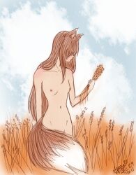 Rule 34 | 1girl, animal ears, breasts, brown hair, holo, long hair, midriff, nipples, small breasts, spice and wolf, tail, wolf ears, wolf girl, wolf tail