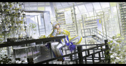 Rule 34 | 1girl, absurdres, arknights, bare shoulders, beads, blonde hair, blue horns, blue tail, chinese commentary, closed mouth, commentary request, day, dragon girl, dragon horns, dragon tail, drawer, earrings, erlenmeyer flask, flask, grey eyes, hair intakes, head rest, highres, horns, indoors, jacket, jewelry, laboratory, ladder, leaf, letterboxed, long hair, long sleeves, looking to the side, multicolored hair, necklace, off shoulder, pants, plant, pointy ears, potted plant, shayu pao jiao, shu (arknights), signature, sitting, solo, table, tail, test tube, vial, watermark, weibo logo, weibo watermark, white hair, white jacket, white pants, white tail, wide shot, yellow horns, yellow tail