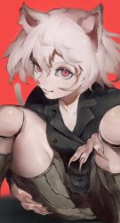 Rule 34 | 1girl, absurdres, animal ears, black jacket, breasts, cat ears, doll joints, female focus, fingernails, highres, hunter x hunter, ibuo (ibukht1015), jacket, joints, long fingernails, looking at viewer, multicolored eyes, neferpitou, purple eyes, red background, red eyes, shorts, simple background, sitting, smile, socks, solo, tail, tomboy, white hair