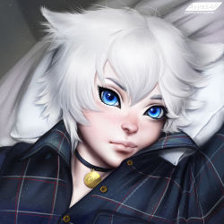 Rule 34 | 1boy, animal ears, artist name, ayya sap, blue eyes, cat boy, cat ears, coby the cat, collar, freckles, male focus, pale skin, personification, real life, solo, watermark, web address, white hair