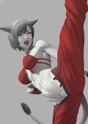 Rule 34 | 1girl, abs, animal ears, warrior of light (ff14), bikini, bikini top only, black hair, breasts, cat ears, cat tail, clenched hand, colored skin, commission, facial mark, fangs, female pubic hair, final fantasy, final fantasy xiv, fingerless gloves, gloves, grey background, grey skin, heterochromia, highres, medium breasts, navel, open mouth, pubic hair, putcher, red eyes, shaped pubic hair, short hair, skeb commission, slit pupils, solo, sparse pubic hair, split, standing, standing on one leg, standing split, swimsuit, tail, toned, whisker markings
