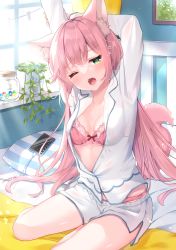 Rule 34 | 1girl, absurdres, animal ear fluff, animal ears, bra, breasts, cellphone, charging device, green eyes, highres, indoors, irori, long hair, long sleeves, looking at viewer, medium breasts, on bed, one eye closed, open clothes, open mouth, open shirt, original, panties, phone, pink bra, pink hair, pink panties, plant, potted plant, shirt, short shorts, shorts, sleepy, smartphone, tail, underwear, wolf ears, wolf girl, wolf tail, yawning