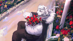 Rule 34 | 1boy, absurdres, alternate costume, animal ears, arknights, bara, bouquet, facial hair, feet out of frame, flower, formal, from above, furry, furry male, goatee, highres, holding, holding bouquet, large pectorals, light smile, looking at viewer, male focus, mountain (arknights), muscular, muscular male, on bench, pectorals, rose, scar, scar across eye, short hair, sitting, solo, suit, thick eyebrows, tiger boy, tiger ears, white hair, you ji fei f