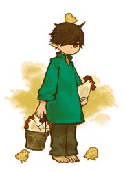 Rule 34 | 1boy, ahoge, barefoot, bird, brown eyes, brown hair, brown pants, chicken, full body, green shirt, hair over one eye, jitome, looking at viewer, male focus, original, oversized clothes, pants, pointy ears, rooster, satsumai, shirt, simple background, solo