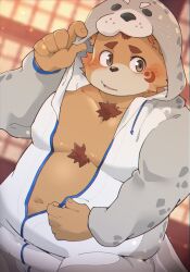 Rule 34 | 1boy, absurdres, animal ears, bara, bare pectorals, bear boy, bear ears, blush, brown hair, chest hair, commentary request, cosplay, embarrassed, fat, fat man, furry, furry male, highres, hood, hood up, kemo nikomi, kigurumi, looking to the side, male focus, midriff peek, navel, oosumi (tamacolle), partially unzipped, pectorals, shouji, sliding doors, tamacolle