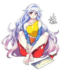 Rule 34 | 1girl, barefoot, blue hair, blue sleeves, bow, brown hair, commentary, d:, detached sleeves, dress, frilled dress, frills, full body, gradient hair, hatchet, highres, indian style, long hair, multicolored clothes, multicolored dress, multicolored hair, nata (tool), open mouth, orange dress, own hands together, red bow, red dress, red eyes, sakata nemuno, signature, simple background, single strap, sitting, solo, toes, touhou, umigarasu (kitsune1963), v arms, very long hair, white background, white hair, yellow dress