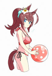 Rule 34 | 1girl, absurdres, ahoge, alternate hairstyle, animal ears, appleq, ball, bare shoulders, beachball, bikini, blue eyes, blush, breasts, cleavage, closed mouth, cropped legs, flower, from side, grey background, groin, hair flower, hair ornament, halterneck, highres, holding, holding ball, holding beachball, horse ears, horse girl, horse tail, looking at viewer, looking to the side, medium breasts, mihono bourbon (umamusume), notice lines, ponytail, red bikini, side-tie bikini bottom, simple background, solo, swimsuit, tail, umamusume