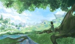 Rule 34 | 1boy, androgynous, beret, black hair, blue hair, blurry, blurry background, braid, bug, butterfly, butterfly on hand, cape, cloud, cloudy sky, day, frilled sleeves, frills, from behind, genshin impact, gradient hair, grass, green hat, green shorts, hat, highres, insect, instrument, leaf, long sleeves, lyre, meo (user mcgv3275), multicolored hair, outdoors, pantyhose, short hair with long locks, shorts, sitting, sky, solo, tree, tree shade, twin braids, venti (genshin impact), white pantyhose
