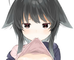 Rule 34 | 1girl, aruma (sawayaka tokuko miruku), black hair, black jacket, blush, breasts, brown eyes, closed mouth, clothes in mouth, clothes lift, commentary request, hair ears, jacket, lifted by self, looking at viewer, medium breasts, mouth hold, muu-tan, off shoulder, open clothes, open jacket, original, out-of-frame censoring, pink shirt, shirt, shirt in mouth, shirt lift, simple background, solo, white background