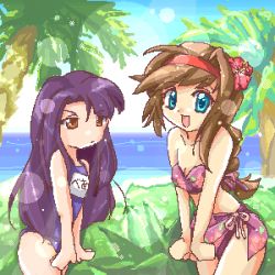Rule 34 | 2girls, ahoge, bare shoulders, beach, beatrice (wild arms), bikini, black hair, blue eyes, bow, braid, brown eyes, brown hair, day, frown, hair intakes, hairband, happy, long hair, lowres, multiple girls, name tag, oekaki, one-piece swimsuit, open mouth, outdoors, palm tree, red hairband, sand, sarong, school swimsuit, sidelocks, sky, swimsuit, tree, virginia maxwell, water, wild arms, wild arms 3, zipang (zip@ng works)