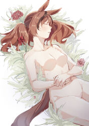 Rule 34 | 1girl, absurdres, animal ears, breasts, brown hair, closed eyes, commentary, flower, grass, groin, highres, hope fantasy, horse ears, nice nature (umamusume), no nipples, nude, own hands together, parted lips, red flower, sleeping, small breasts, solo, stomach, tail, thighs, twintails, umamusume