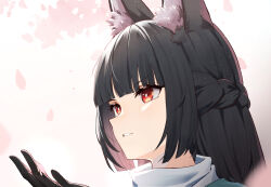 Rule 34 | 1girl, absurdres, animal ear fluff, animal ears, black gloves, black hair, blunt bangs, braid, commentary request, czk, french braid, gloves, hand up, highres, hoshimi miyabi, long hair, parted lips, red eyes, solo, zenless zone zero