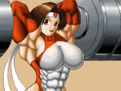 Rule 34 | animated, animated gif, barbell, dumbbell, exercising, extreme muscles, female focus, kotobuki makoto, lowres, mach breakers, muscular, namco, numan athletics, ren (tainca2000), weightlifting, weights
