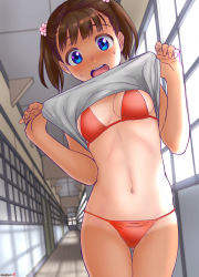 Rule 34 | 1girl, artist name, bikini, blue eyes, breasts, brown hair, clothes lift, cowboy shot, hallway, highres, lifting own clothes, looking at viewer, mu-pyon, navel, open mouth, original, red bikini, round teeth, shirt lift, short hair, small breasts, solo, standing, sweat, swimsuit, tan, tanline, teeth, twintails, undressing, upper teeth only, window