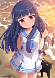 Rule 34 | 1girl, beach, black cat, blue bow, blue hair, blue neckerchief, blue sailor collar, bow, cat, commentary request, hand up, highres, idolmaster, idolmaster cinderella girls, light blush, long hair, looking at viewer, neckerchief, ocean, outdoors, paw print, pero (idolmaster cinderella girls), red eyes, sailor collar, sajo yukimi, sidelocks, smile, sunset, thighs, twitter username, uosshi, walking, white swimsuit