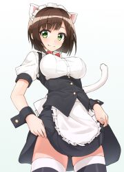 Rule 34 | 10s, 1girl, alternate costume, animal ears, breasts, brown hair, cat ears, cat tail, covered erect nipples, enmaided, fang, fang out, green eyes, highres, idolmaster, idolmaster cinderella girls, looking at viewer, maekawa miku, maid, maid headdress, medium breasts, short hair, shunichi, smile, solo, standing, tail, thighhighs, underbust, wrist cuffs, zettai ryouiki