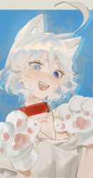 Rule 34 | 1girl, ahoge, animal collar, animal ear fluff, animal ears, animal hands, blue eyes, blush, breasts, cat ears, cat paws, collar, collarbone, commentary request, furina (genshin impact), genshin impact, gloves, hair between eyes, heterochromia, highres, huge ahoge, looking at viewer, mismatched pupils, open mouth, paw gloves, red collar, shirt, short hair, small breasts, solo, upper body, white hair, white shirt, yukinika