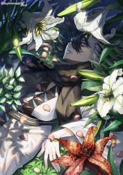 Rule 34 | 1boy, artist name, black hair, black scarf, closed mouth, commentary request, creatures (company), flower, game freak, grass, grey eyes, grimsley (pokemon), highres, looking at viewer, lying, male focus, multicolored hair, nintendo, on back, petals, pokemon, pokemon sm, scarf, solo, watermark, yamanashi taiki