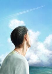 Rule 34 | 1boy, aircraft, airplane, back, back focus, black hair, contrail, day, highres, k05062688, male focus, mito youhei, ocean, outdoors, pompadour, slam dunk (series), solo