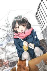 Rule 34 | 1girl, :d, black hair, black skirt, blue coat, blush, box, brown eyes, cardigan, cat, coat, commentary request, duffel coat, enpera, highres, holding, holding umbrella, open mouth, original, pantyhose, pink scarf, pleated skirt, railing, scarf, school uniform, signature, skirt, sky, smile, snow, snowing, solo, soragane (banisinngurei), squatting, teeth, transparent, transparent umbrella, umbrella, uniform, upper teeth only, watermark, white sky, winter, winter clothes, yellow cardigan