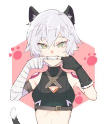 Rule 34 | 1girl, animal ears, arm belt, bandaged arm, bandages, bare shoulders, bell, bow, breasts, cat ears, cat tail, facial scar, fate/apocrypha, fate/grand order, fate (series), fingerless gloves, gloves, green eyes, grey hair, jack the ripper (fate/apocrypha), looking at viewer, scar, scar across eye, scar on cheek, scar on face, short hair, shoulder tattoo, single glove, slit pupils, small breasts, solo, tail, tattoo