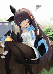 Rule 34 | 1girl, :d, absurdres, azur lane, bare shoulders, black jacket, black ribbon, blue bow, blue eyes, bow, bowtie, braid, breasts, brown hair, cleavage, clothes pull, corded phone, cropped jacket, dress, full body, hair ribbon, headphones, highres, holding, holding phone, indoors, jacket, jacket pull, kass (2307603199), knees together feet apart, knees up, leaning forward, legs, long hair, long island (azur lane), long island (ghostly receptionist) (azur lane), long sleeves, manjuu (azur lane), medium breasts, notebook, off shoulder, open clothes, open jacket, open mouth, pantyhose, phone, ribbon, single braid, sitting, smile, solo, thighs, very long hair, white dress, writing