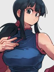 Rule 34 | 1girl, black eyes, black hair, blue dress, breasts, chi-chi (dragon ball), china dress, chinese clothes, dragon ball, dragon ball (classic), dress, grey background, kemachiku, long hair, looking at viewer, medium breasts, ponytail, simple background, solo, upper body