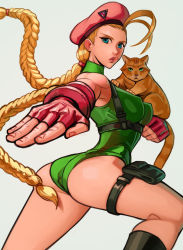 Rule 34 | animal ears, ass, blonde hair, blue eyes, braid, breasts, calvin sims, cammy white, capcom, cat, cat ears, cat tail, fingerless gloves, gloves, green eyes, hat, highres, large breasts, leotard, long hair, looking at viewer, looking back, perky breasts, sleeveless, street fighter, tail