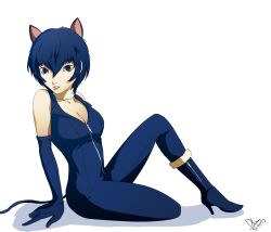 Rule 34 | 1girl, alternate costume, animal ears, atlus, bad id, bad tumblr id, blue eyes, blue hair, boots, breasts, cat ears, cat tail, catsuit, cleavage, dh (brink of memories), elbow gloves, full-length zipper, gloves, halloween costume, high heel boots, high heels, kemonomimi mode, megami tensei, persona, persona 4, scarf, shin megami tensei, shirogane naoto, short hair, sitting, tail, zipper