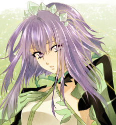 Rule 34 | 1girl, enomoto (luck-by-luck), gloves, green background, hairband, little queen, purple eyes, purple hair, solo, tales of (series), tales of graces