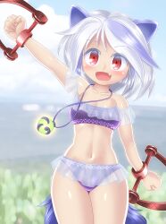 Rule 34 | 1girl, animal ears, arm up, bikini, blurry, blurry background, blush, breasts, clenched hands, collarbone, fang, grey hair, highres, jewelry, looking at viewer, medium breasts, mitsugashira enoko, necklace, red eyes, sky, solo, swimsuit, tail, touhou, winn