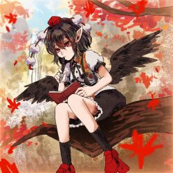 Rule 34 | 1girl, autumn leaves, bird wings, black hair, black ribbon, black skirt, black socks, black wings, branch, collared shirt, falling leaves, feathered wings, frilled skirt, frills, geta, hat, highres, holding, holding pen, kneehighs, koishi kawaiine, leaf, leaf print, neck ribbon, nib pen (object), notebook, outdoors, pen, pointy ears, pom pom (clothes), puffy short sleeves, puffy sleeves, red eyes, red footwear, red hat, ribbon, shameimaru aya, shirt, short hair, short sleeves, sitting, skirt, socks, solo, tengu-geta, touhou, tree, white shirt, wings