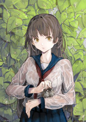 Rule 34 | 1girl, absurdres, animal on arm, bird, bird on arm, blouse, blue neckerchief, blue skirt, bra, brown hair, closed mouth, collarbone, commentary, highres, leaf, long hair, long sleeves, looking at viewer, muyu713, neckerchief, original, outdoors, pleated skirt, rain, red neckerchief, school uniform, see-through, see-through shirt, serafuku, shirt, skirt, solo, underwear, upper body, wet, wet clothes, wet shirt, white bra, white shirt, yellow eyes