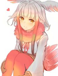 Rule 34 | 10s, 1girl, ancolatte (onikuanco), blonde hair, breasts, brown hair, closed mouth, frilled sleeves, frills, head tilt, head wings, heart, japanese crested ibis (kemono friends), kemono friends, long hair, long sleeves, looking at viewer, medium breasts, multicolored hair, orange eyes, pantyhose, red hair, red pantyhose, shirt, silver hair, simple background, sitting, smile, solo, tail, white background, white shirt, wings