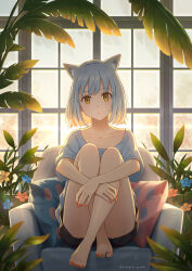Rule 34 | 1girl, absurdres, animal ear fluff, animal ears, backlighting, bare legs, barefoot, black shorts, blue shirt, cat ears, closed mouth, collarbone, commentary, couch, feet, flower, full body, grey hair, hanagamigendai, highres, hugging own legs, indoors, knees up, leaf, looking at viewer, medium hair, nail polish, on couch, orange nails, original, pillow, shirt, shorts, sitting, solo, sunlight, toenail polish, toenails, toes, tree, twitter username, window, yellow eyes
