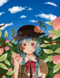 Rule 34 | 1girl, alternate hairstyle, bad id, bad pixiv id, blue hair, braid, choker, cloud, day, food, fruit, hinanawi tenshi, holding, holding food, holding fruit, large hat, long hair, looking at viewer, outdoors, peach, puffy short sleeves, puffy sleeves, red eyes, ribbon choker, short sleeves, sky, solo, touhou, tree, branch, twin braids, uiru